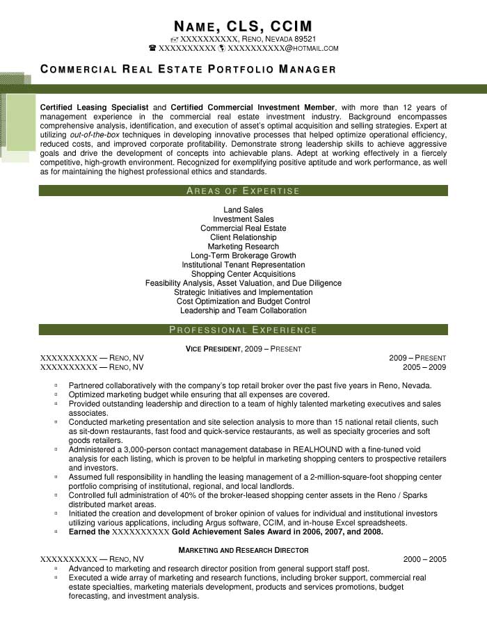 Resume for sales executive in real estate